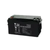 12V 65Ah AGM GEL Battery, Tianneng TNE12-65 12V 65Ah AGM GEL Battery, Tianneng TNE12-65