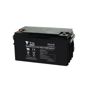 12V 65Ah AGM Battery, Tianneng TN12-65 Deep Cycle 12V 65Ah AGM Battery, Tianneng TN12-65 Deep Cycle