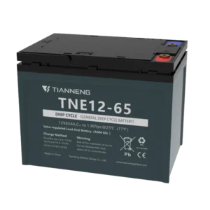 12V 65Ah AGM GEL Battery, Tianneng TNE12-65
