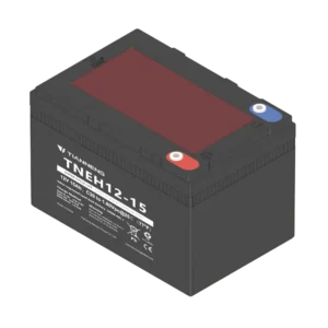 12V 15Ah Heavy Duty AGM Battery, Tianneng TNEH12-15