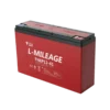 12V 42Ah Premium AGM Gel Battery, Tianneng TNEP12-42 12V 42Ah Premium AGM Gel Battery, Tianneng TNEP12-42