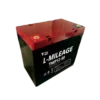 12V 65Ah AGM Battery, Tianneng TN12-65 Deep Cycle 12V 65Ah AGM Battery, Tianneng TN12-65 Deep Cycle