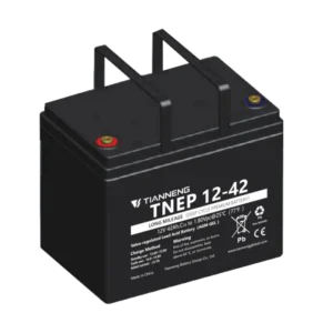12V 42Ah Premium AGM Gel Battery, Tianneng TNEP12-42