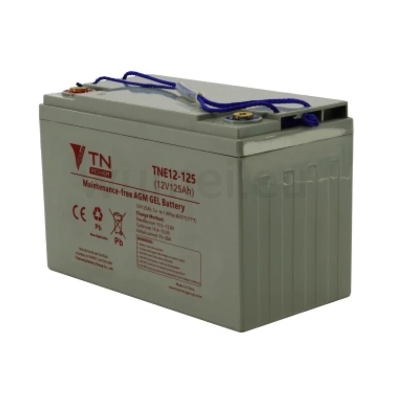Batterie AGM GEL 12V 100Ah, Tianneng TNE12-100 à cycle profond - WUMEI